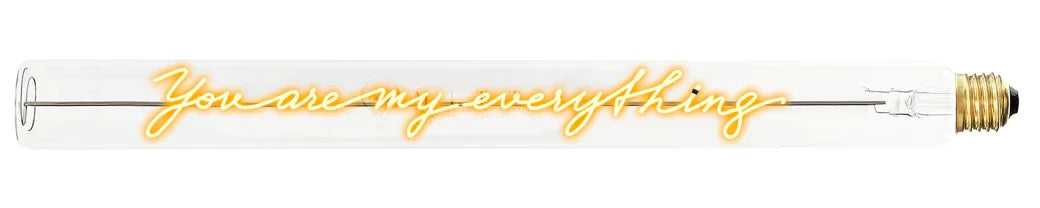 „You Are My Everything“ Deko-Leuchtröhre – Produktansicht
