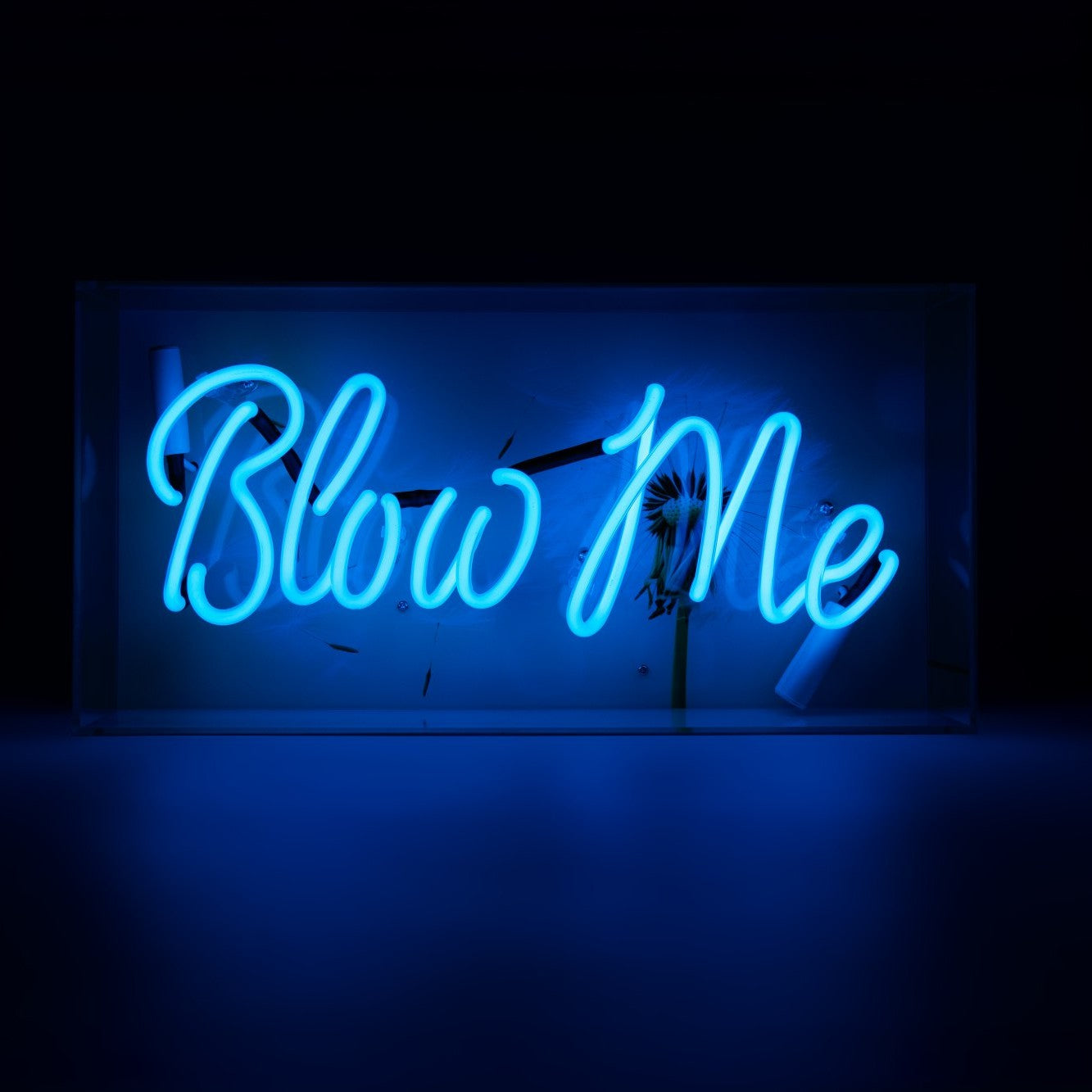 Blow Me Glas Neon Box