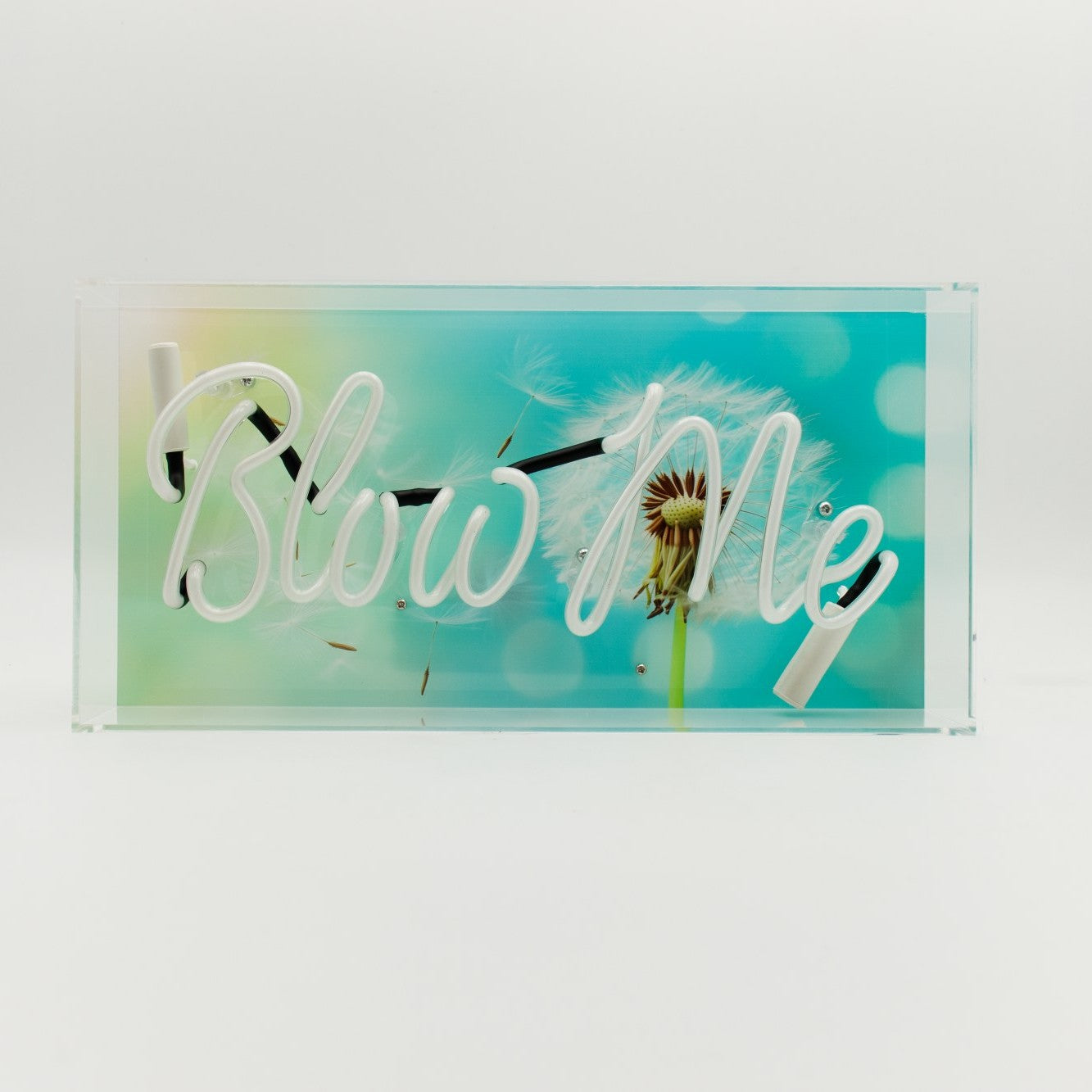 Blow Me Glas Neon Box