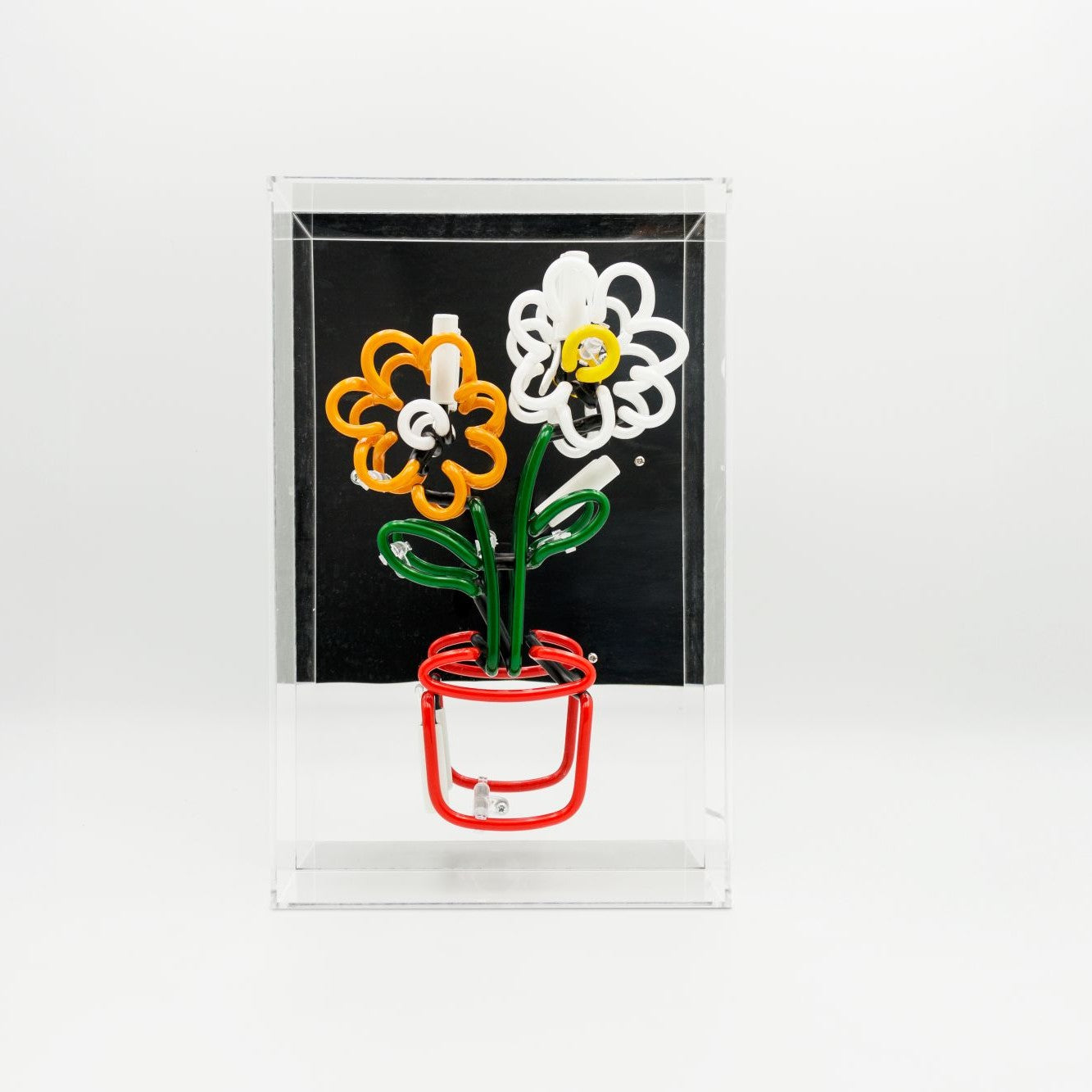 Blumen im Topf Glas Neon Box | Leuchtende Blütenpracht als fröhliche Neon Dekoration