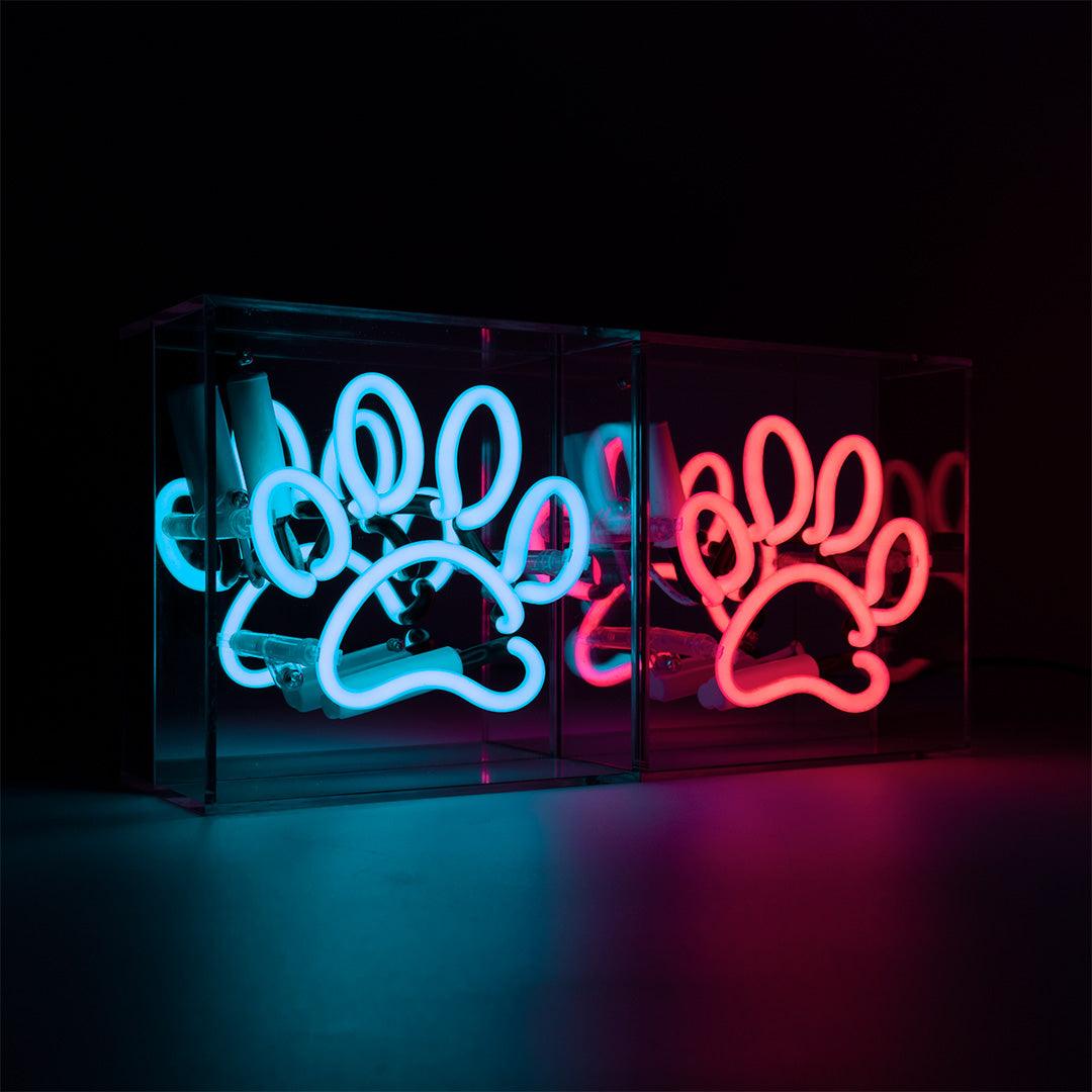 "Paw" Mini Glas Neon Box - TOM NEON