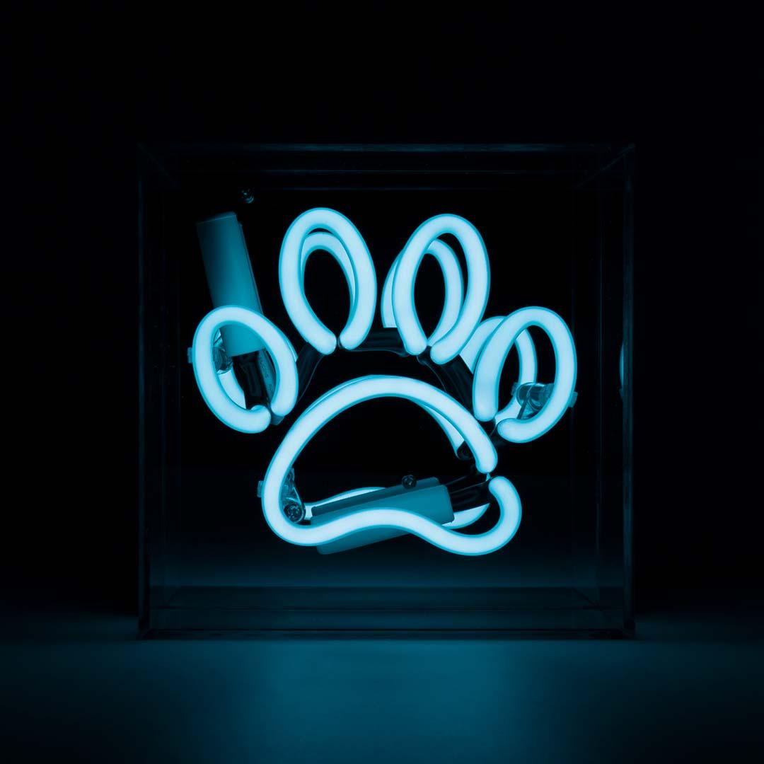 "Paw" Mini Glas Neon Box - TOM NEON