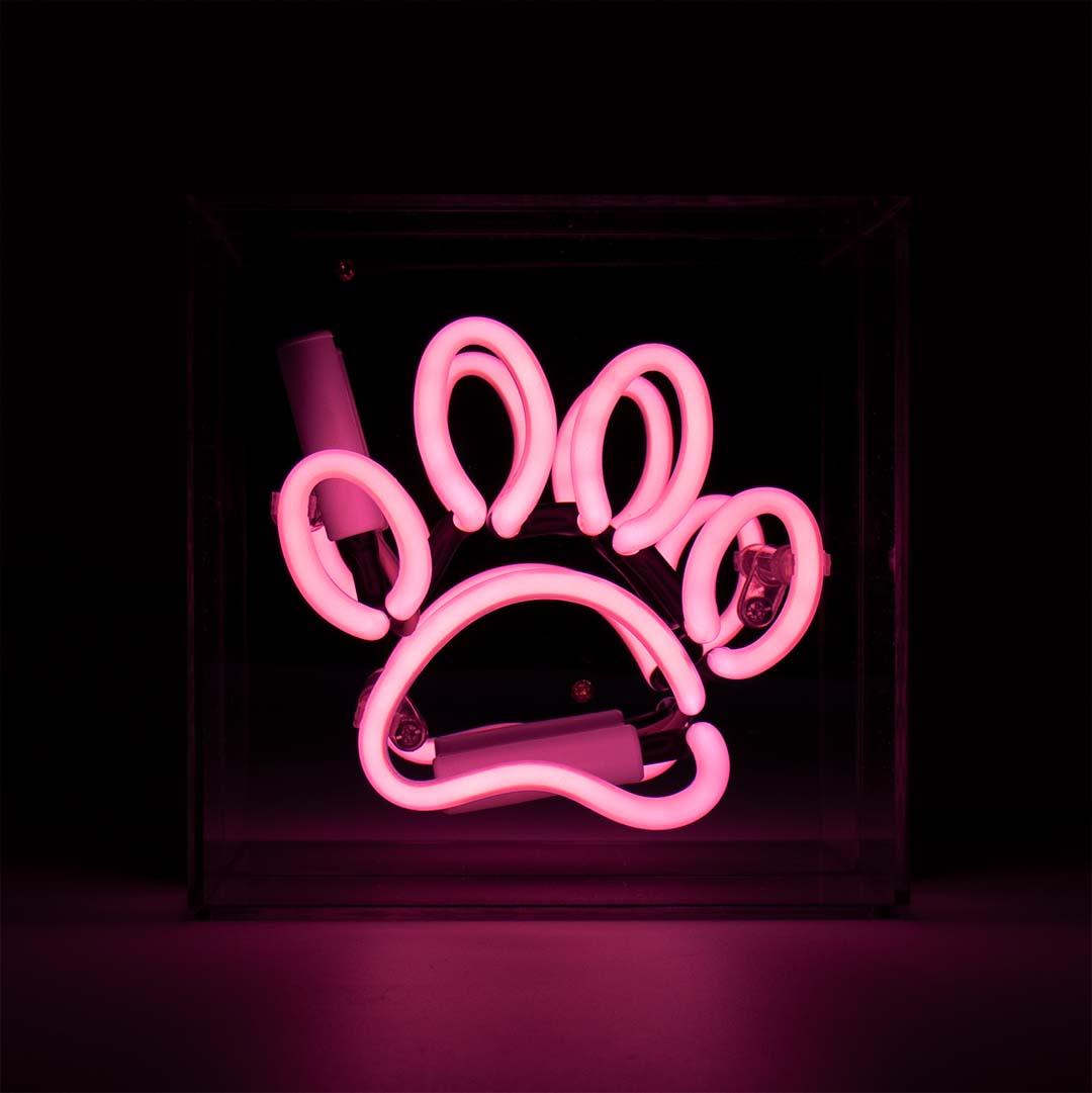 "Paw" Mini Glas Neon Box - TOM NEON