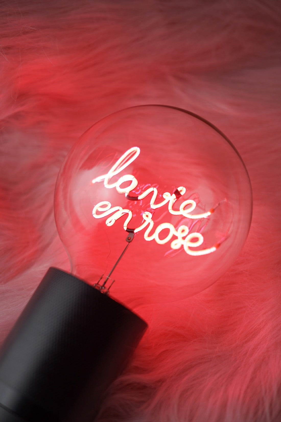 "la vie en rose" LED Deko-Glühbirne – Botschaftsleuchte