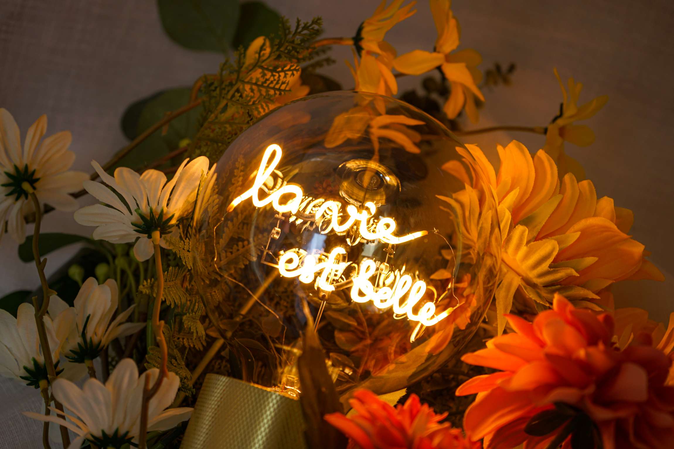 "la vie est belle" LED Deko-Glühbirne – Botschaftsleuchte