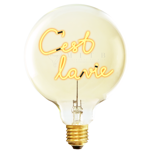 „C'est la Vie“ Kabel LED Deko-Glühbirne – Botschaftsleuchte