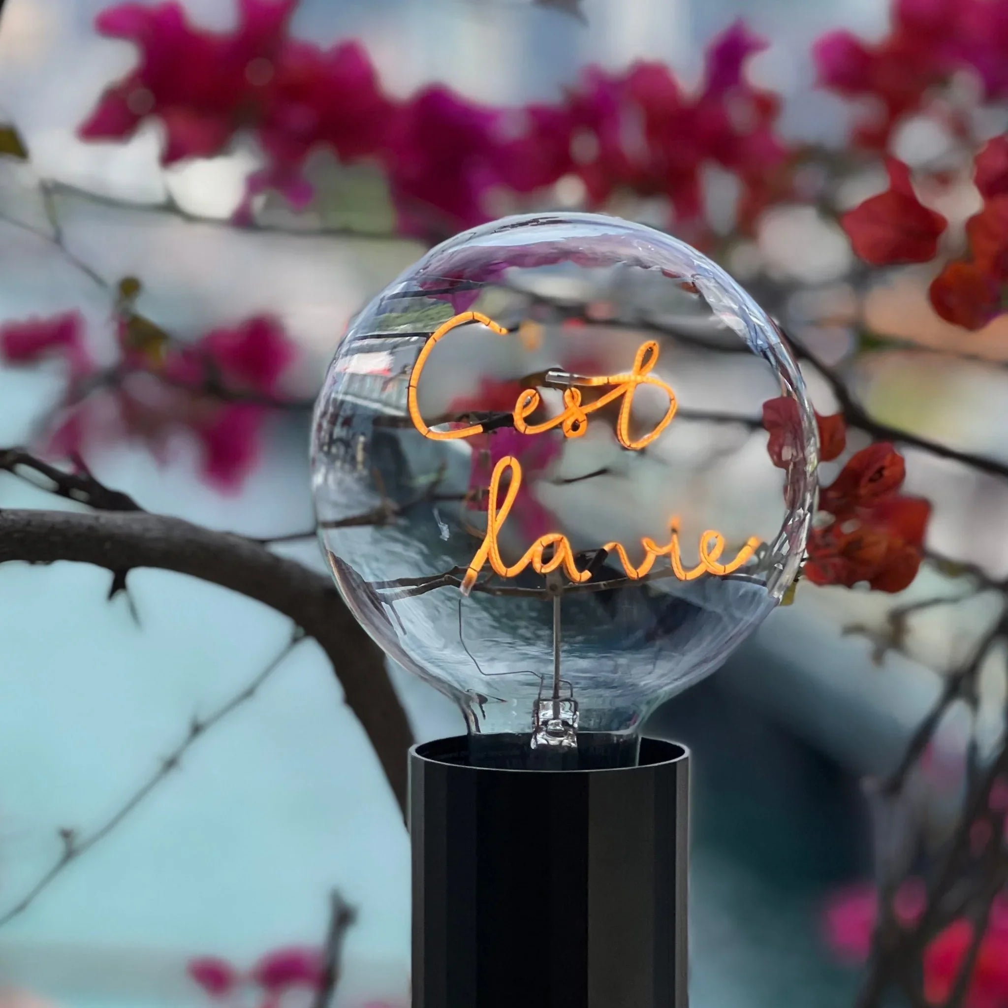 „C'est la Vie“ Akku LED Deko-Glühbirne – Stimmungsbild