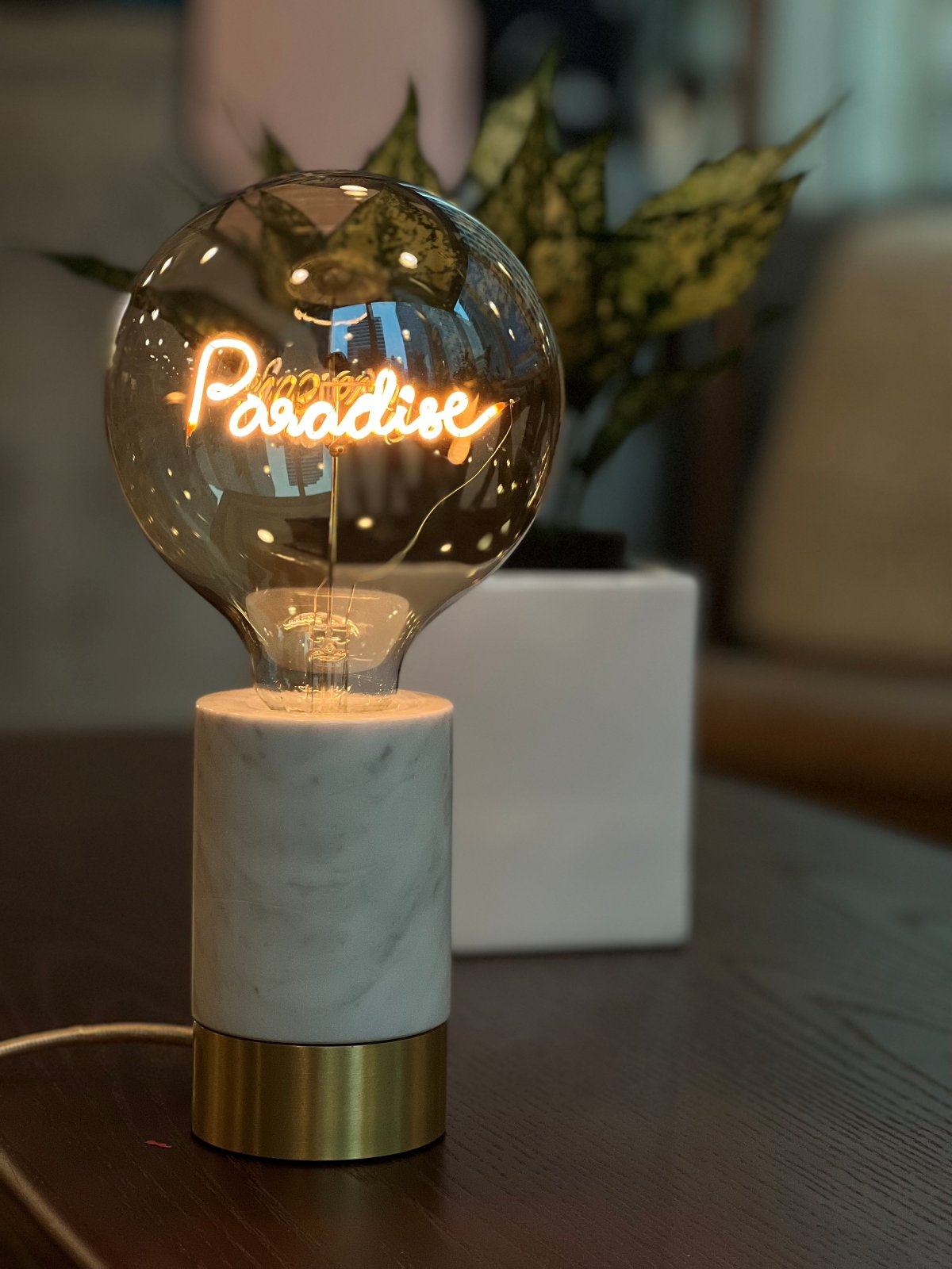 "Paradise" LED Deko-Glühbirne – Botschaftsleuchte