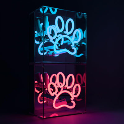 "Paw" Mini Glas Neon Box - TOM NEON