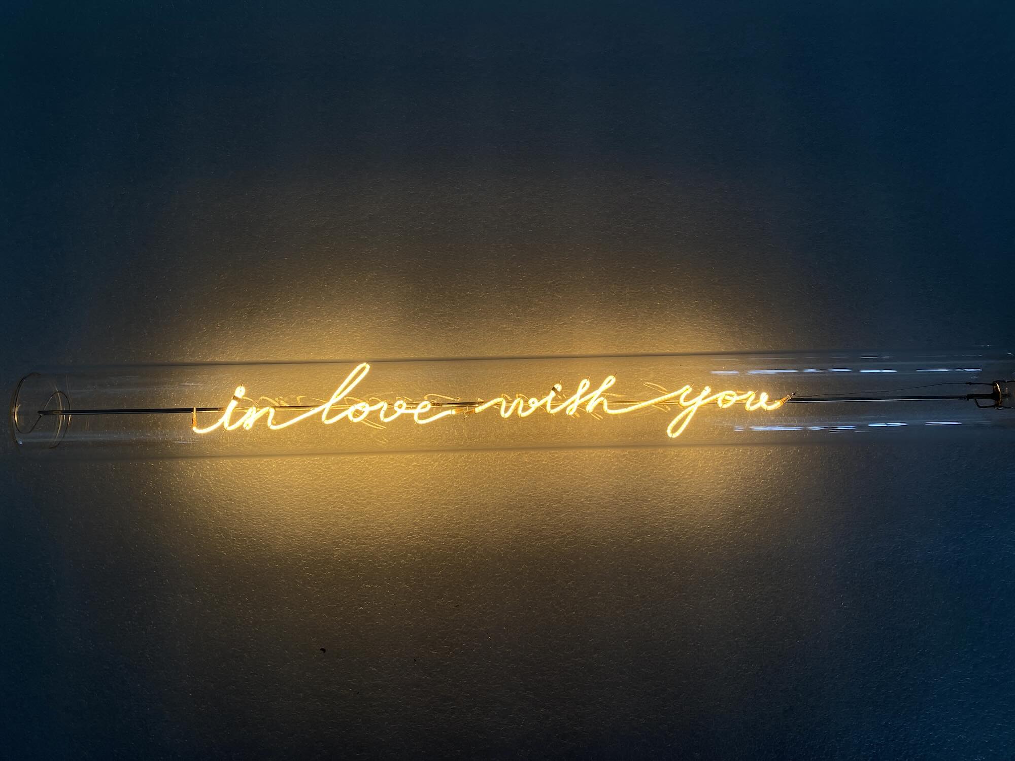 „In Love With You“ Deko-Leuchtröhre – Botschaftsleuchte