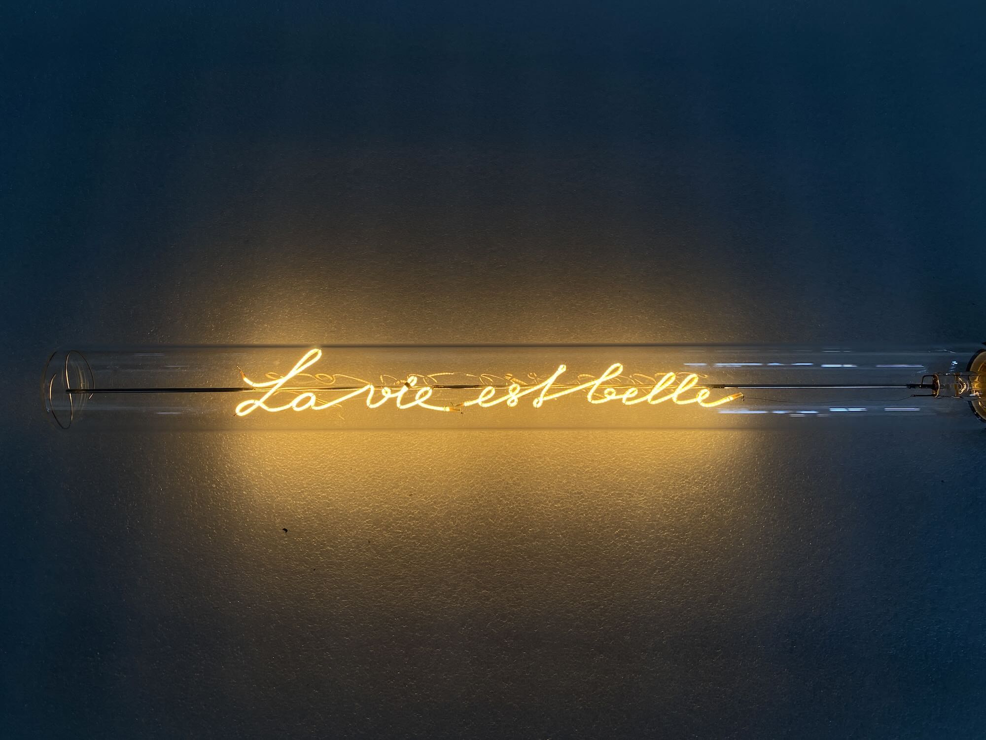„La Vie Est Belle“ Deko-Leuchtröhre – Botschaftsleuchte