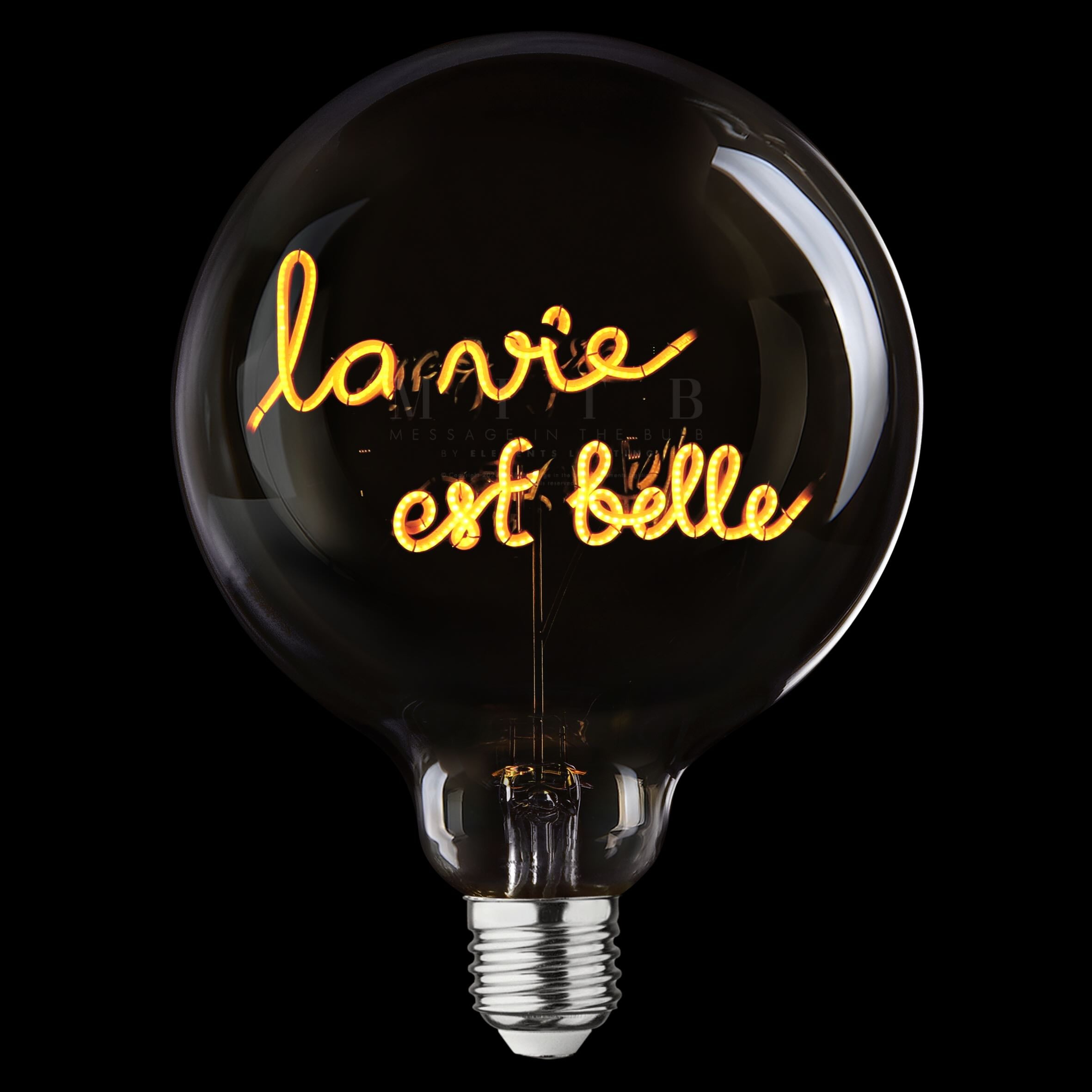 „La Vie est Belle“ Akku LED Deko-Glühbirne – Botschaftsleuchte