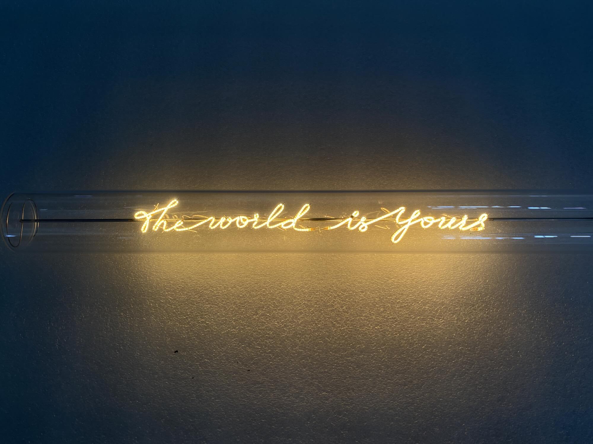 „The World Is Yours“ Deko-Leuchtröhre – Botschaftsleuchte